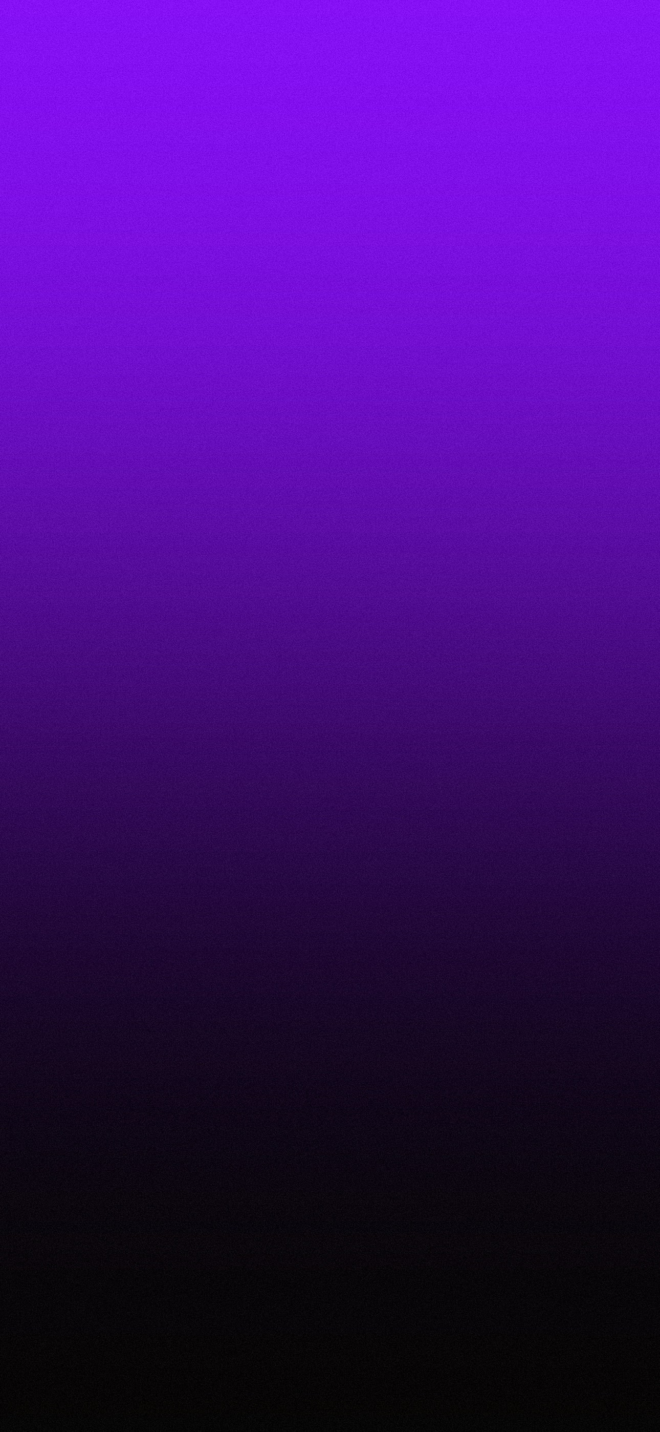 purple_black