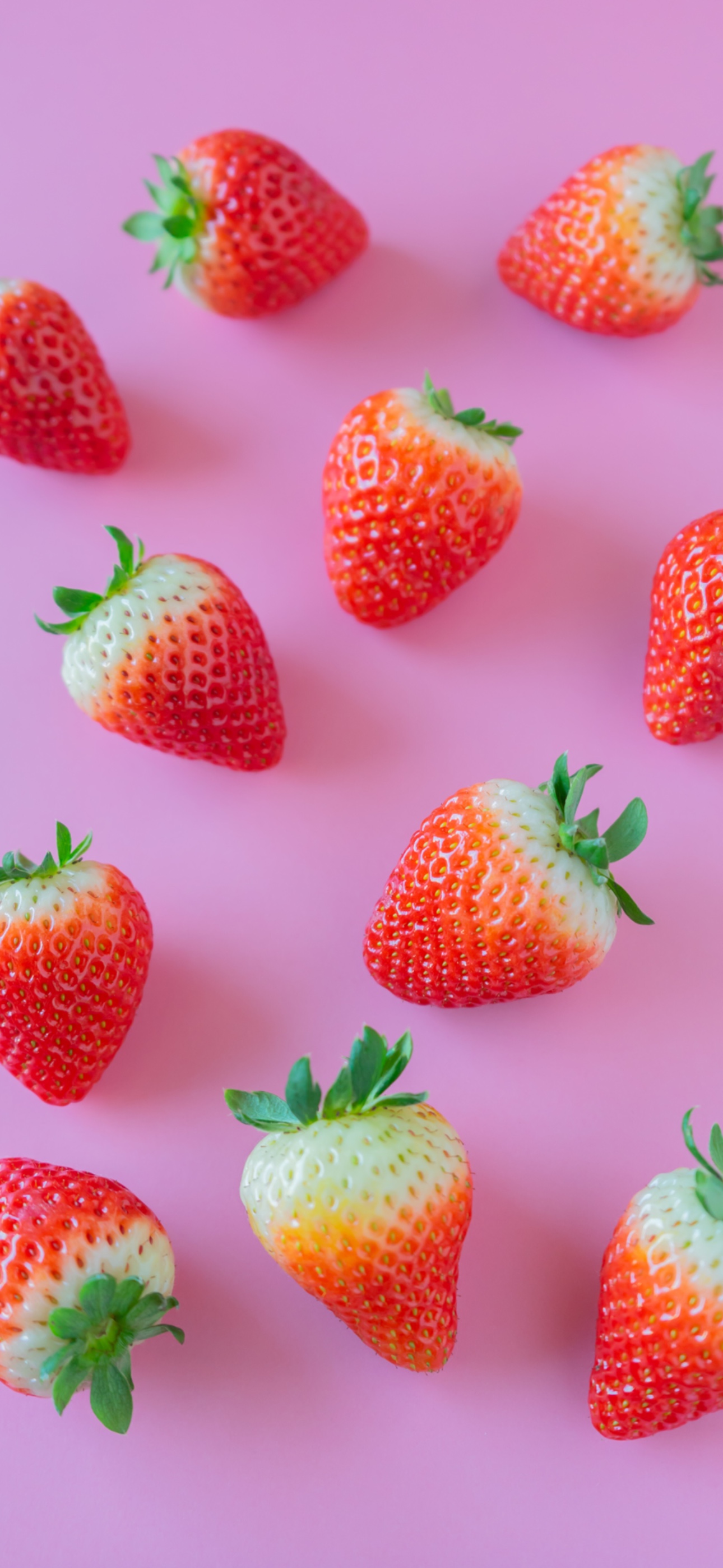 bluishpinkstrawberry