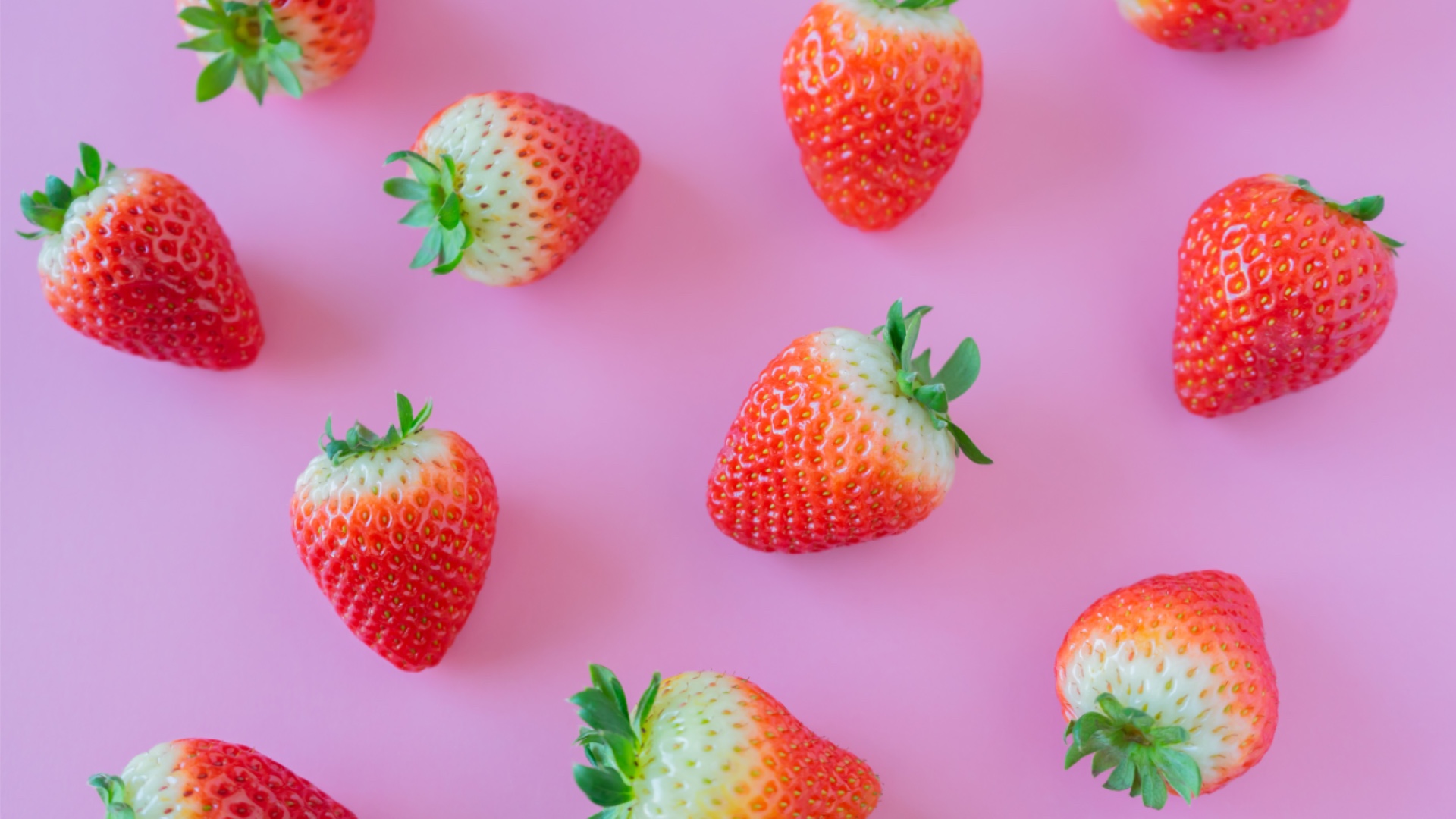 bluishpinkstrawberry16_9